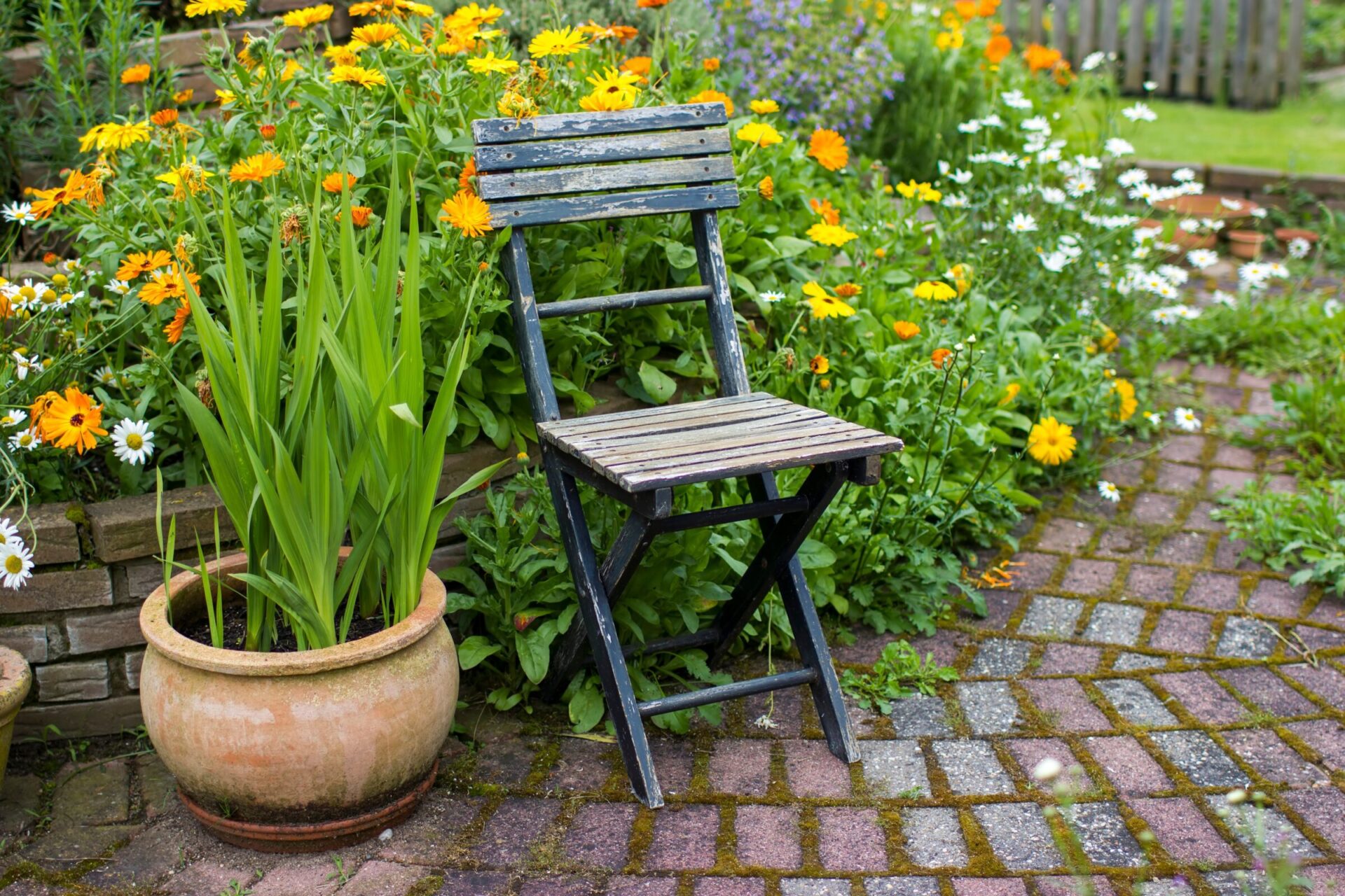 Wooden chair in garden with flowers and bricks