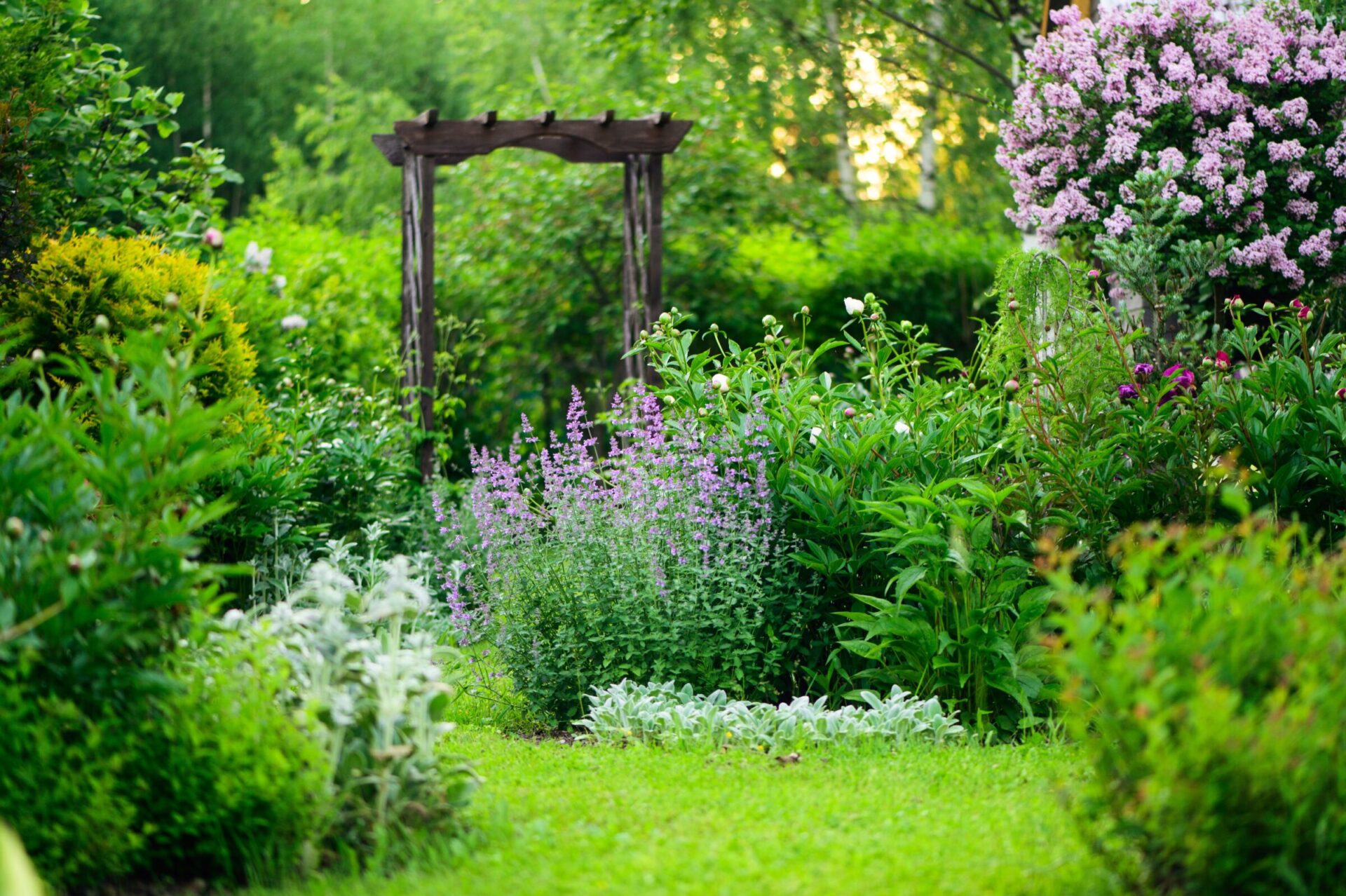 Lush garden with flowers and wooden archway.