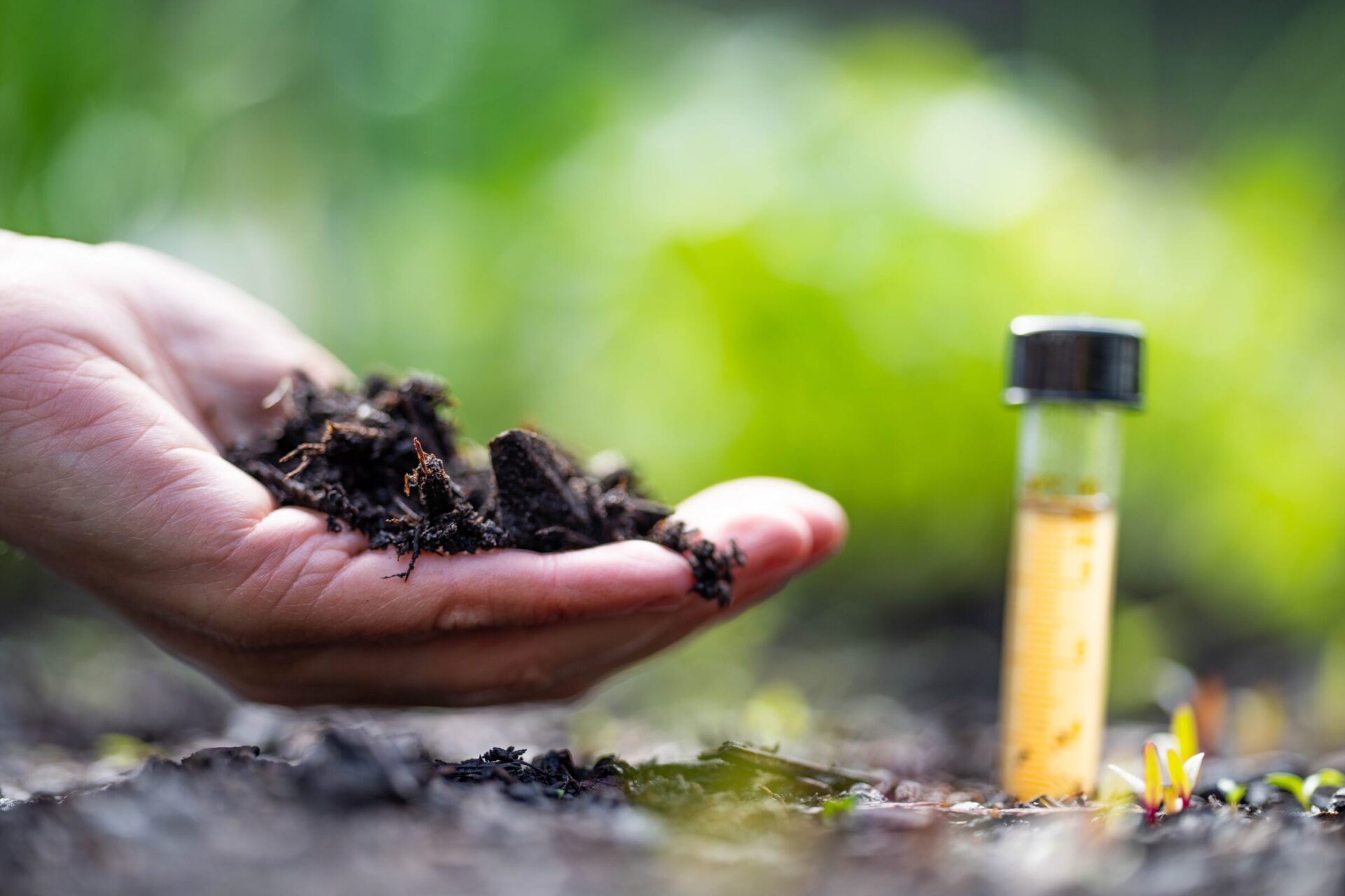 Hand holding soil beside test tube in garden.