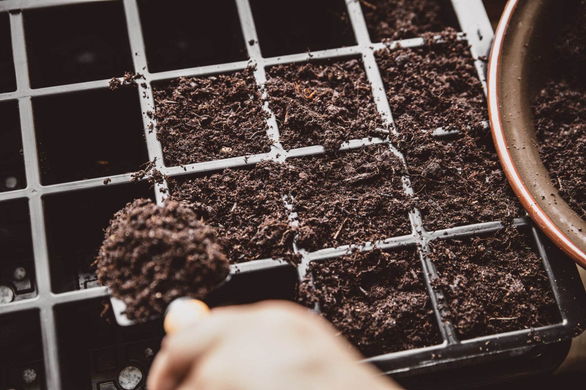 Filling seed tray with soil for planting.